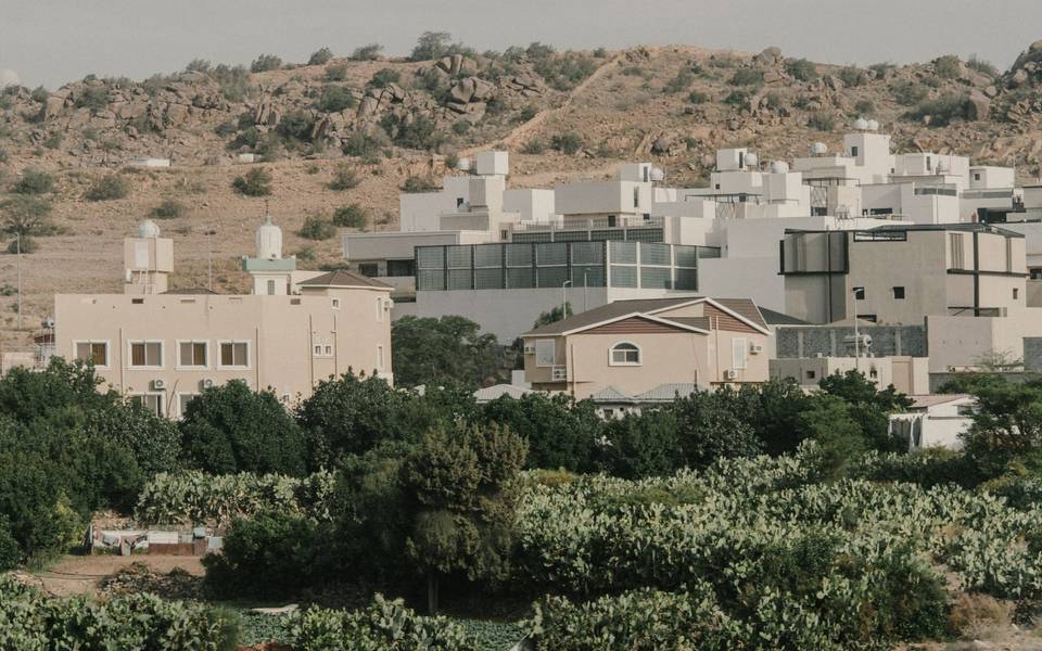 فلل وبيوت سكنية بين الأشجار عند سفوح الجبال في الطائف