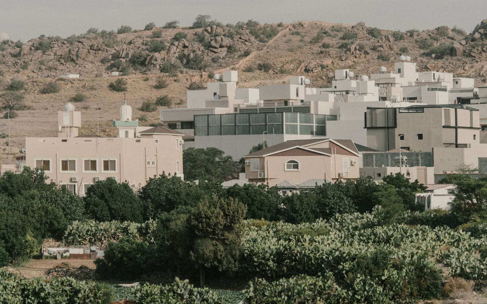 فلل وبيوت سكنية بين الأشجار عند سفوح الجبال في الطائف